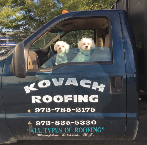 Roofing Services (2)